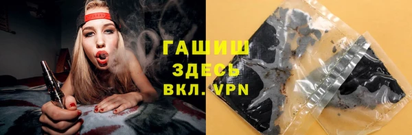 стаф Апатиты
